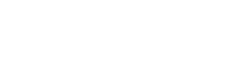 Genshin impact